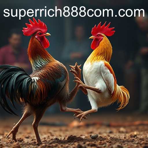 Super Rich888